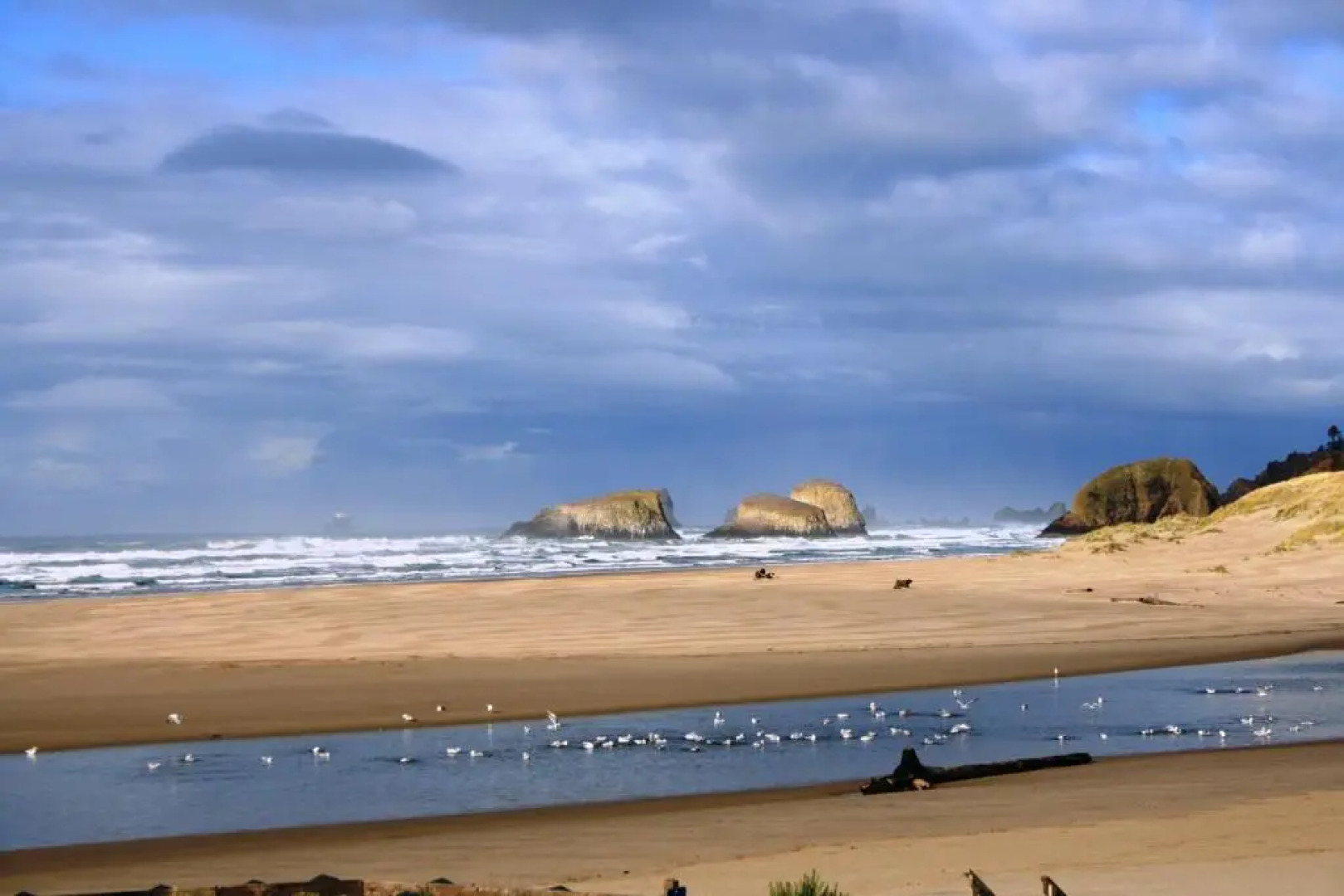 The Waves/The Argonauta Inn/The White Heron Lodge