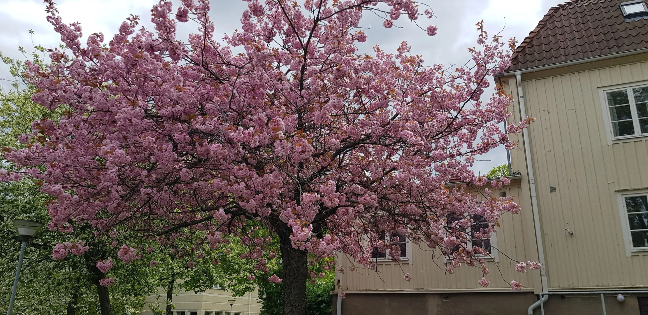 Huskvarna Hotell & Vandrarhem