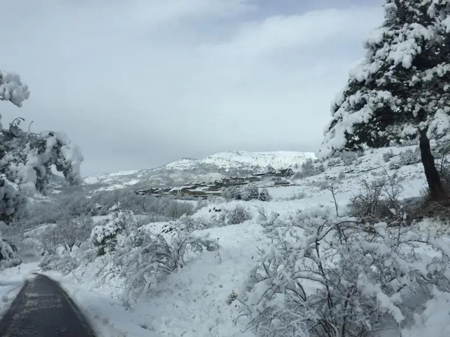 Mas Farner - Adults Only