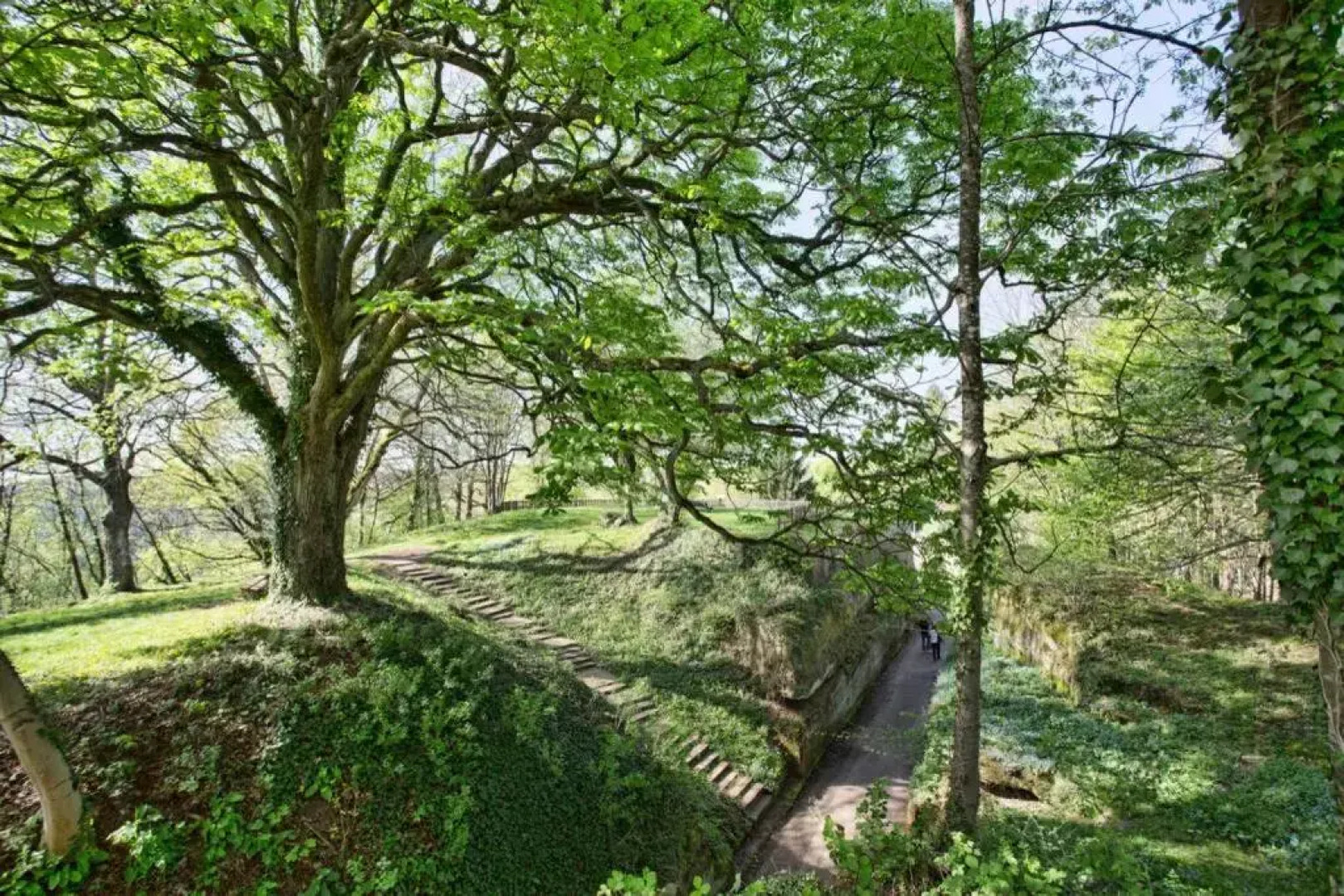 Maison Privilège Nature à La Petite Pierre