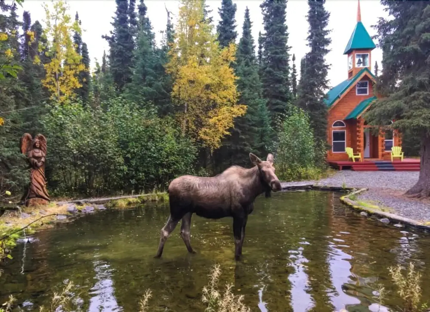 A Cabin by the Pond