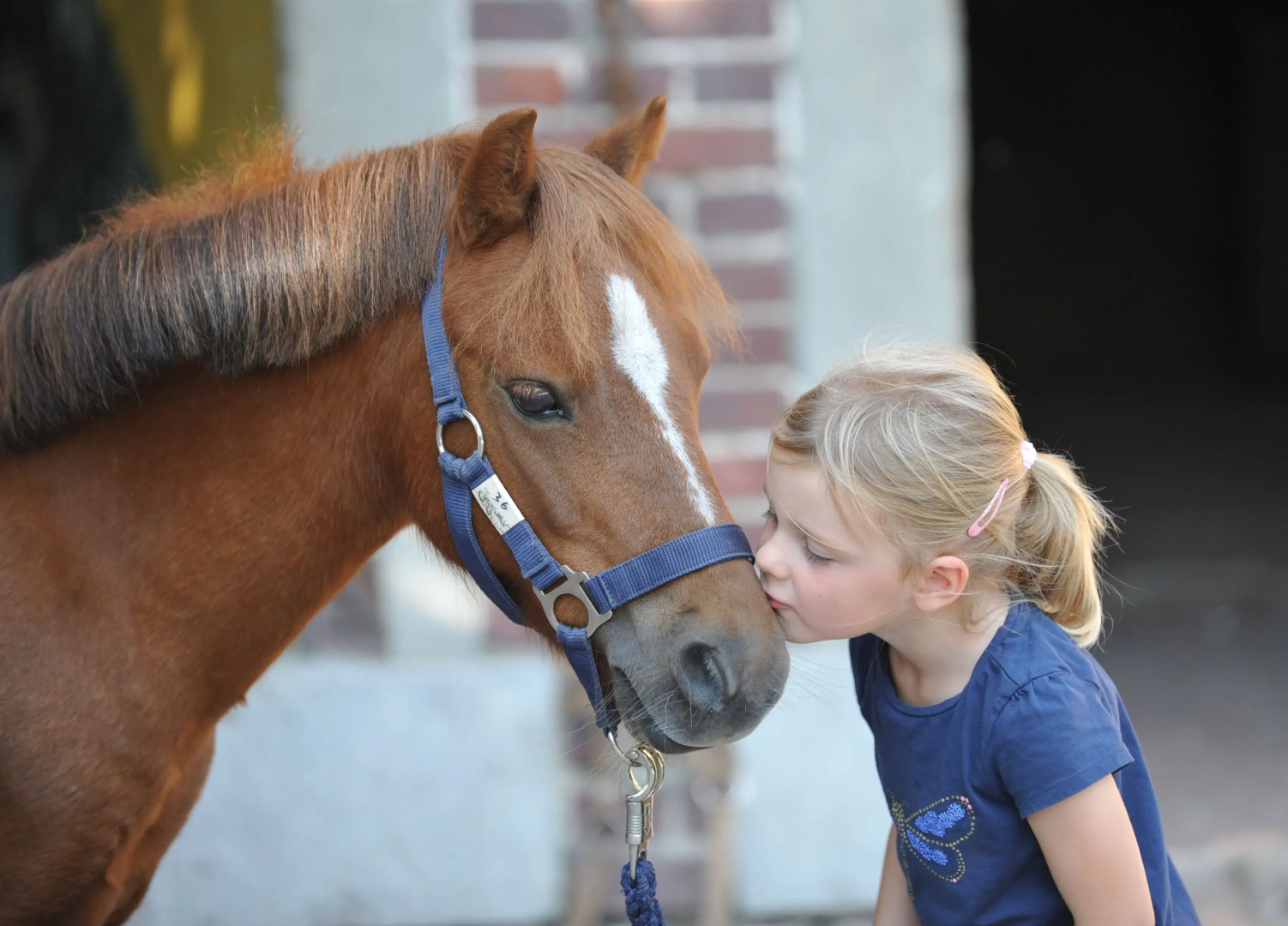 Ponyhof Georgenbruch