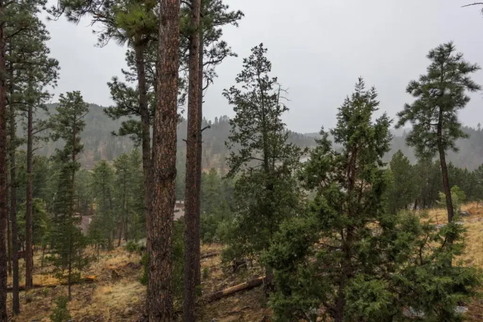 Alto Family Escape - Four Bedroom Cabin with Hot Tub