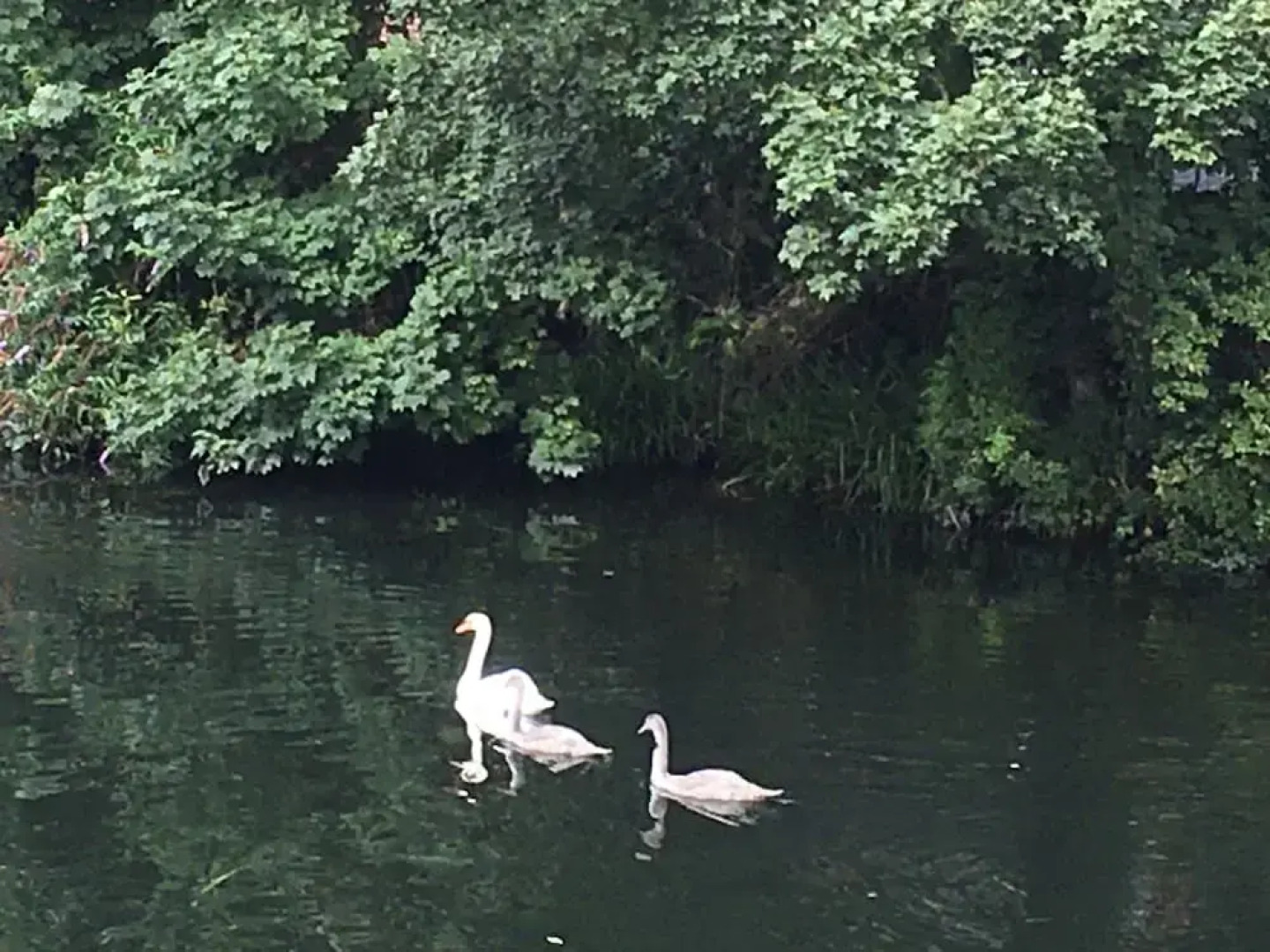 Impeccable 2-bed House in Attleborough