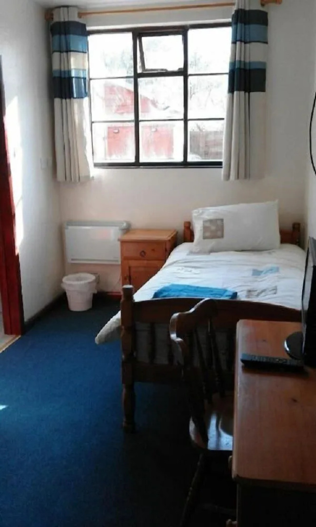 The Moth and Lantern