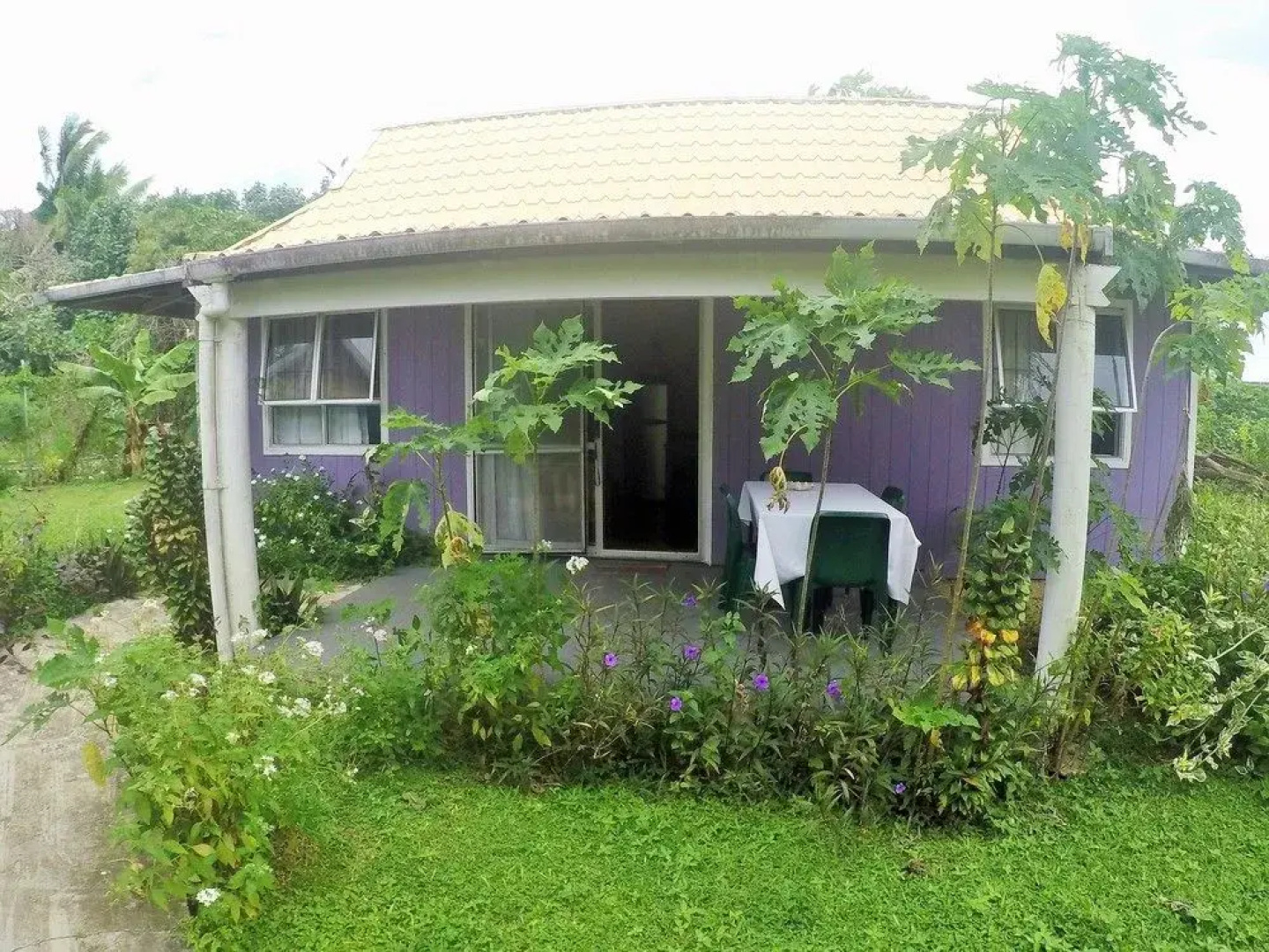 The Friendly Islander (Papiloa's)