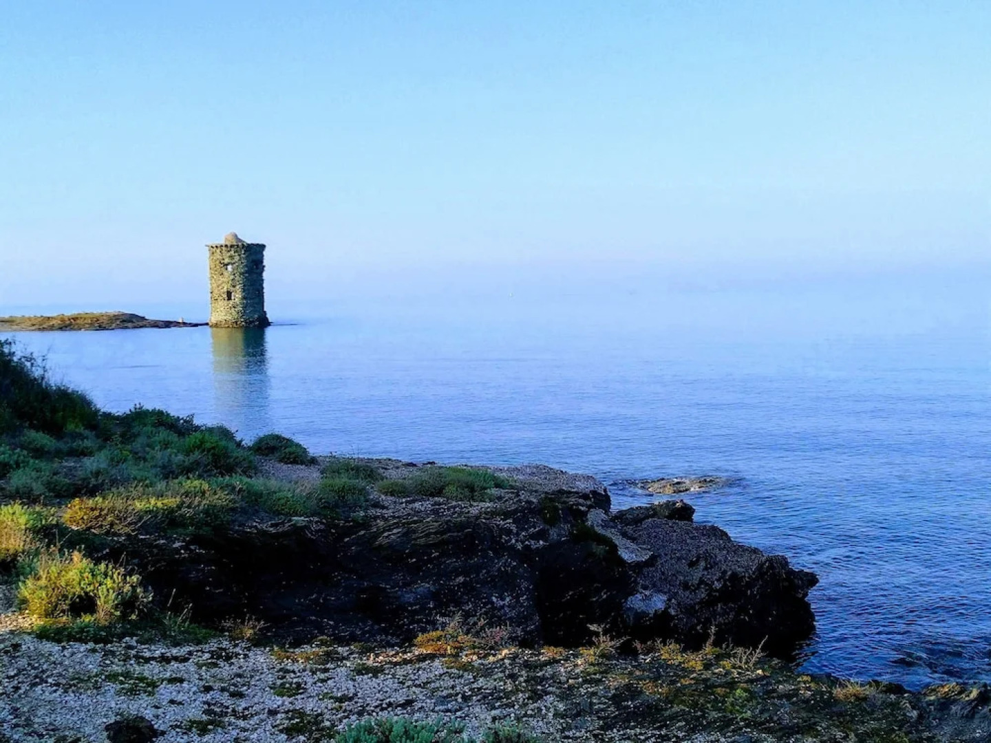 Cap Corse uribellinu 1