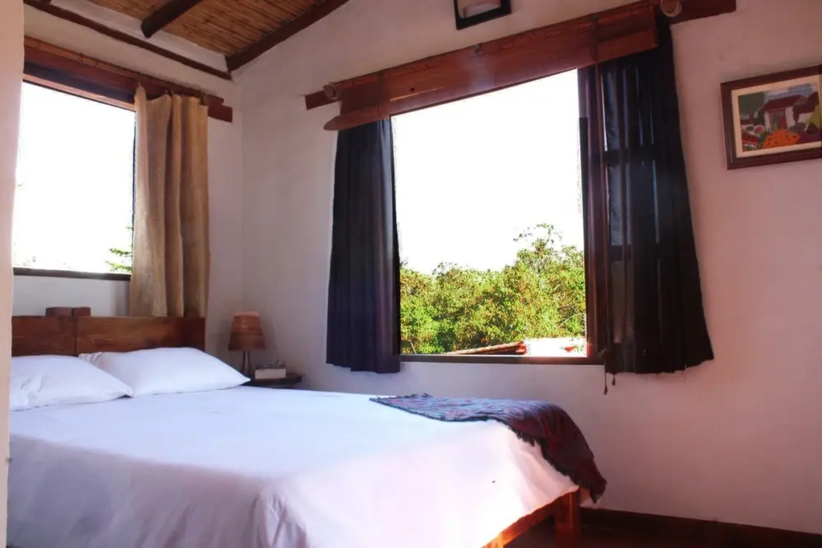 Monte Verde Cabañas & Camping