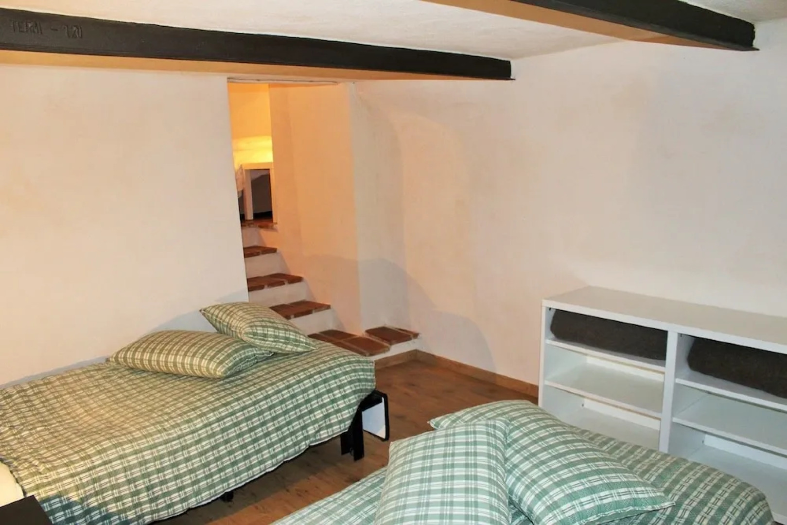 Volpe - Parco Nazionale d'Abruzzo