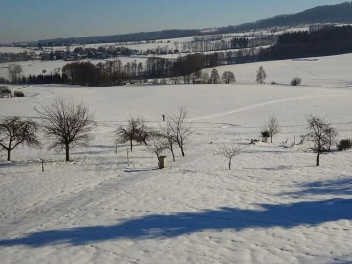 Spacious Holiday Home In Dlouhý With Sauna