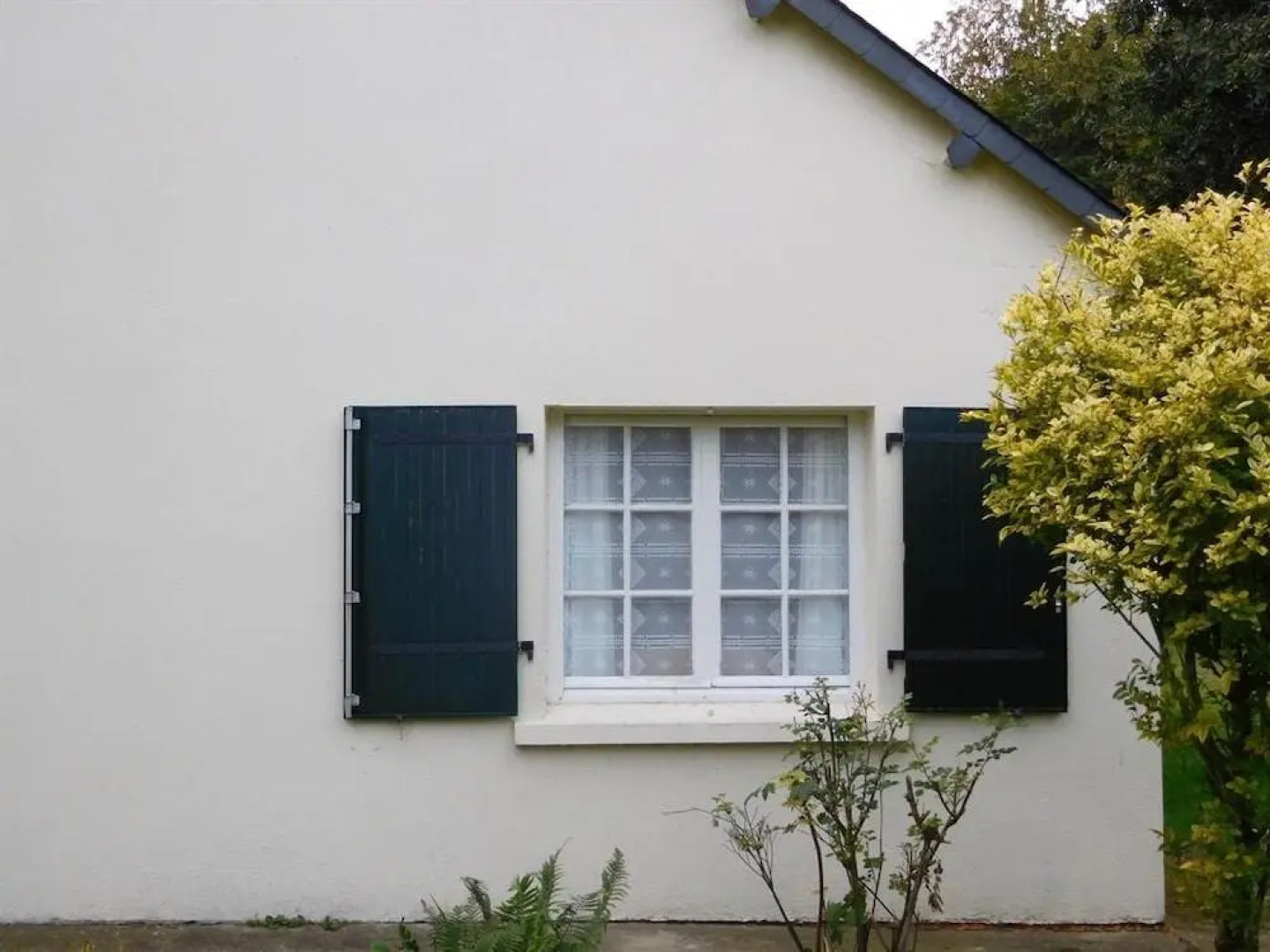 B&B ~ Repos sous les arbres