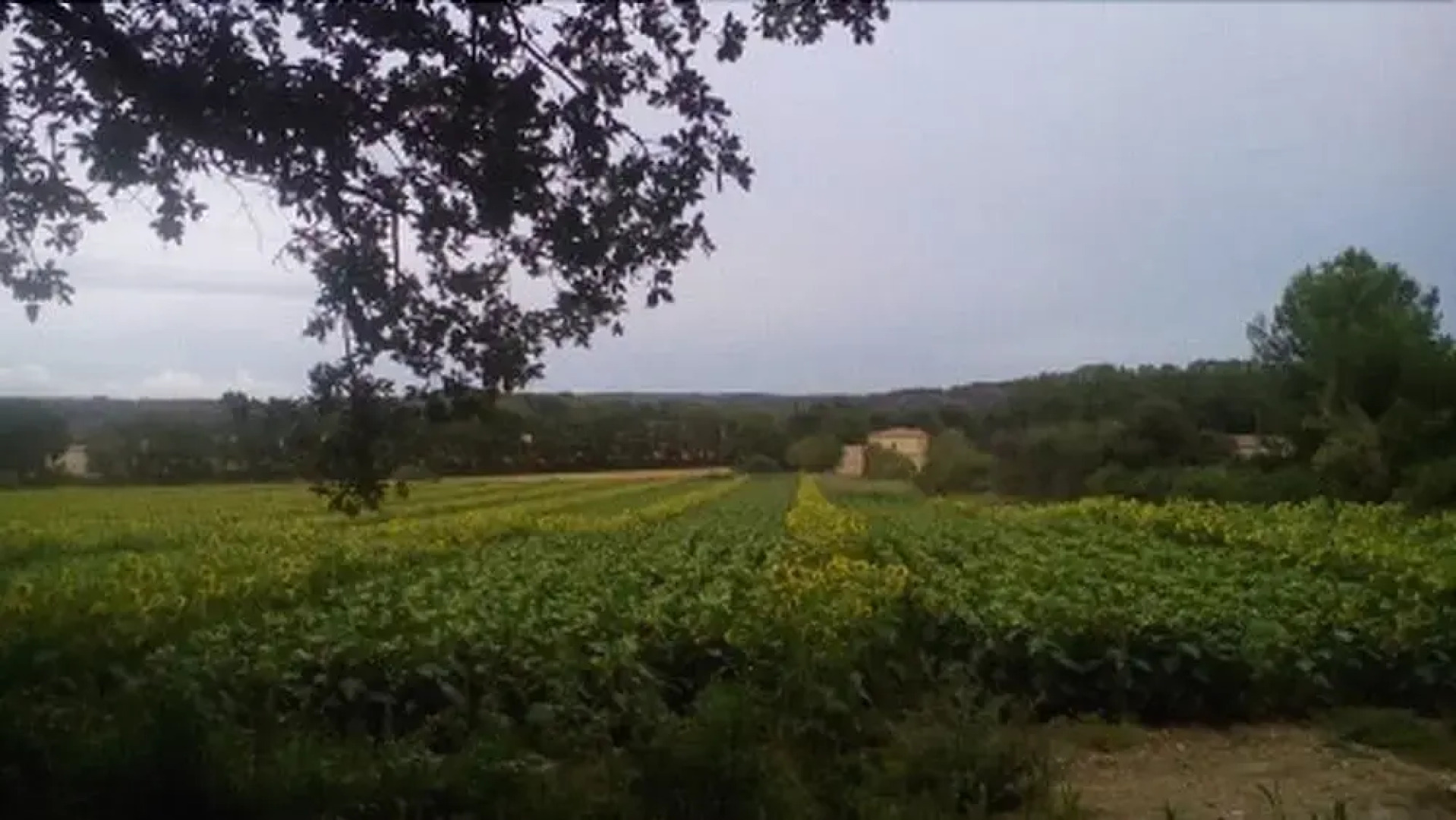 Le Clos Zinou chambres d'hotes