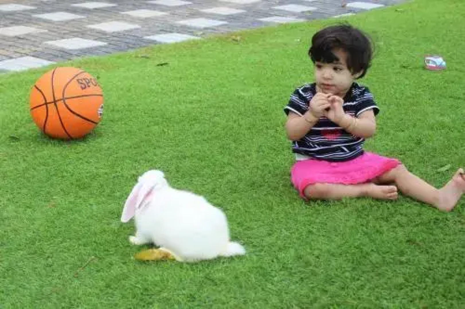 31st December Farms And Estates