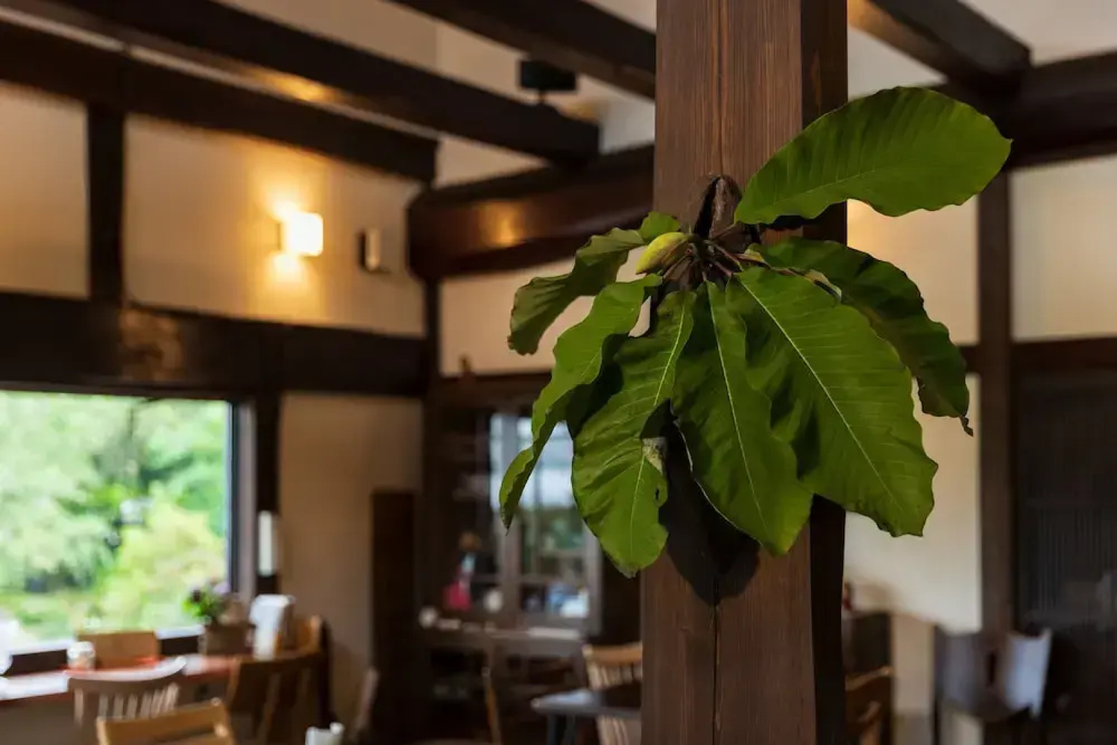 Guest house & Cafe SOY