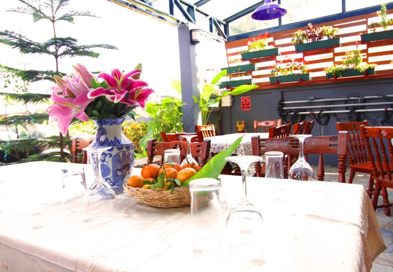Maesai Orchid Hotel