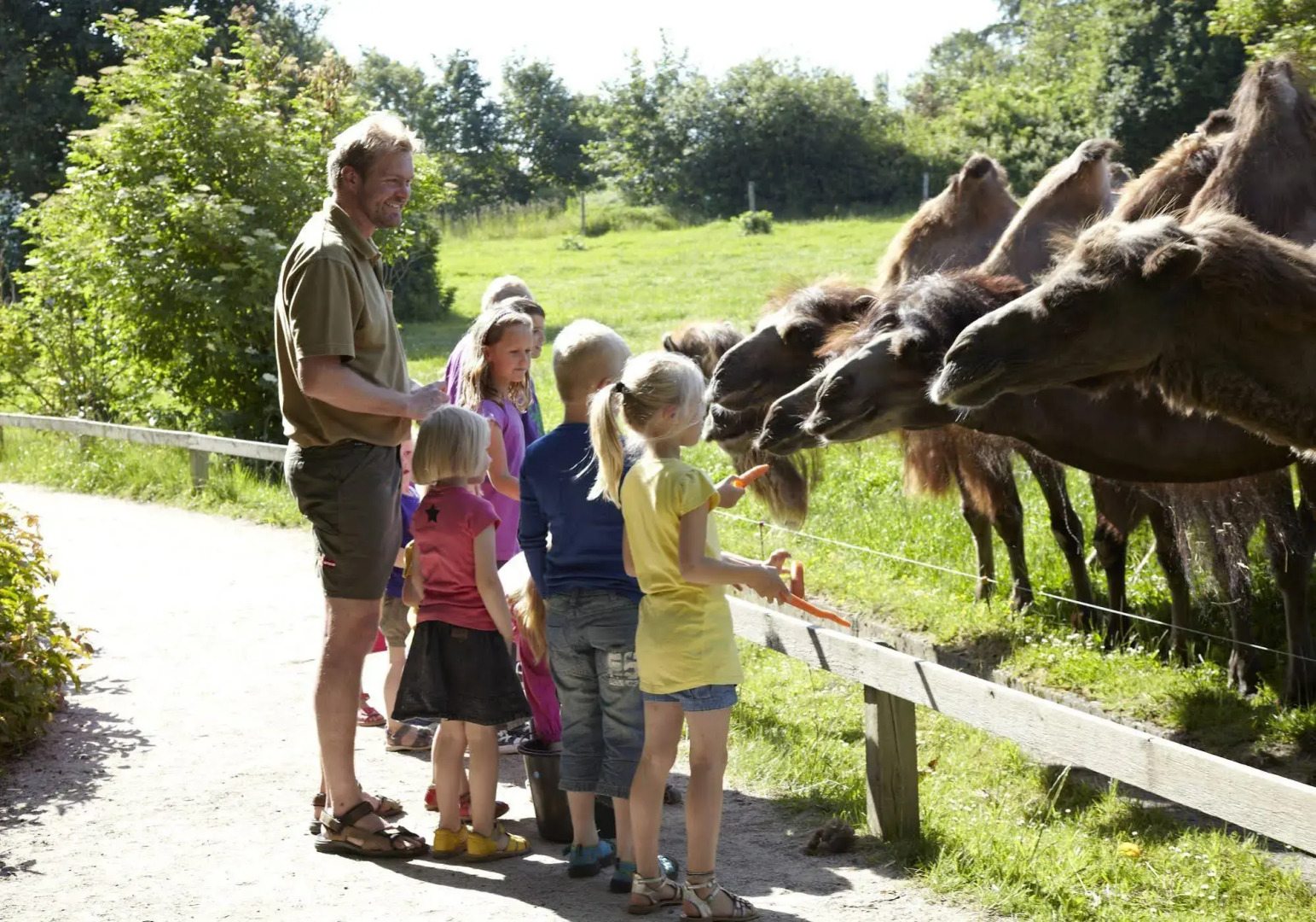 Givskud Zoo - Hostel