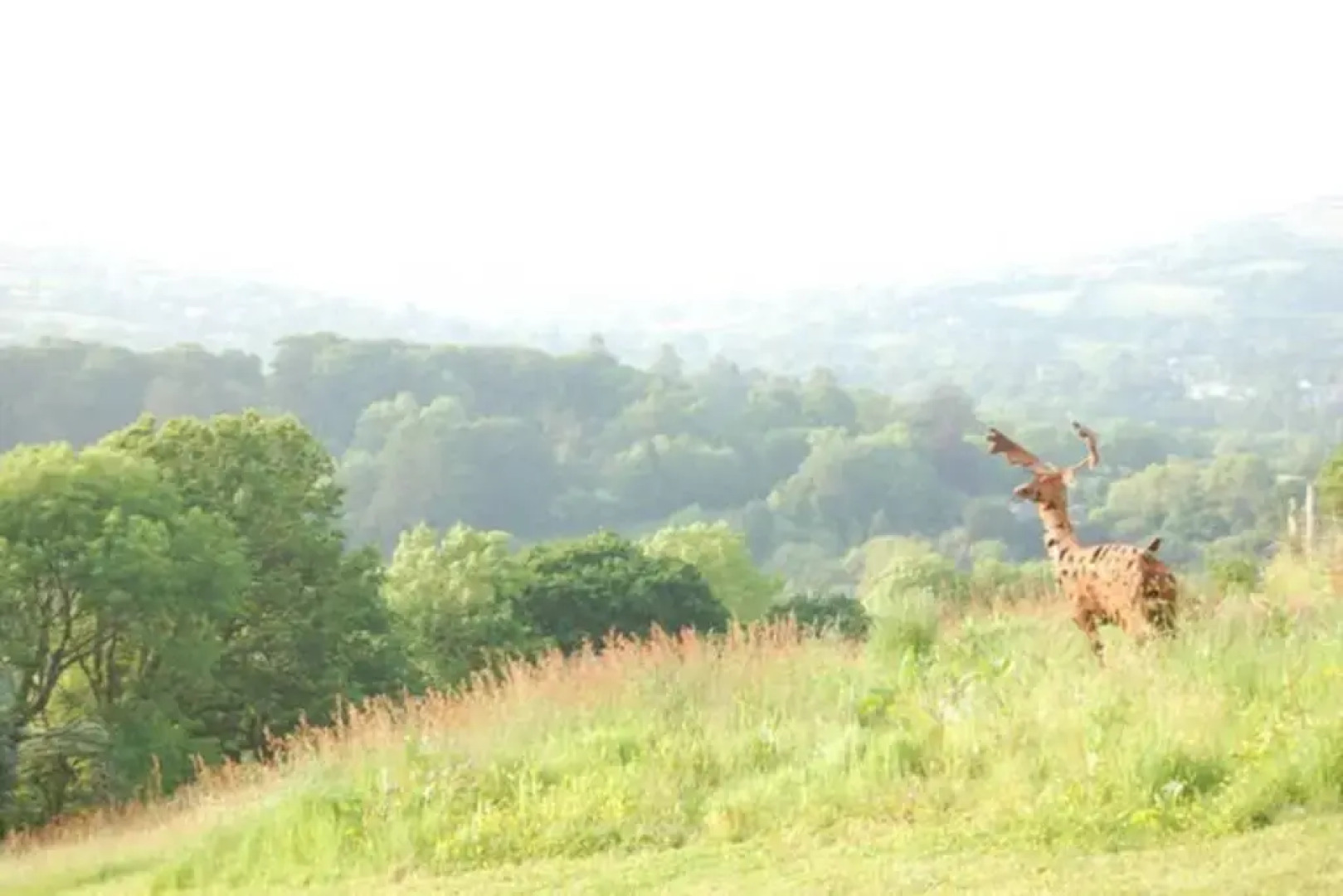 Stables, 1 bed Eco earth house, edge of Dartmoor