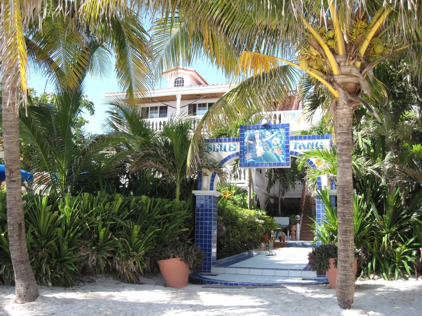 Blue Tang Inn