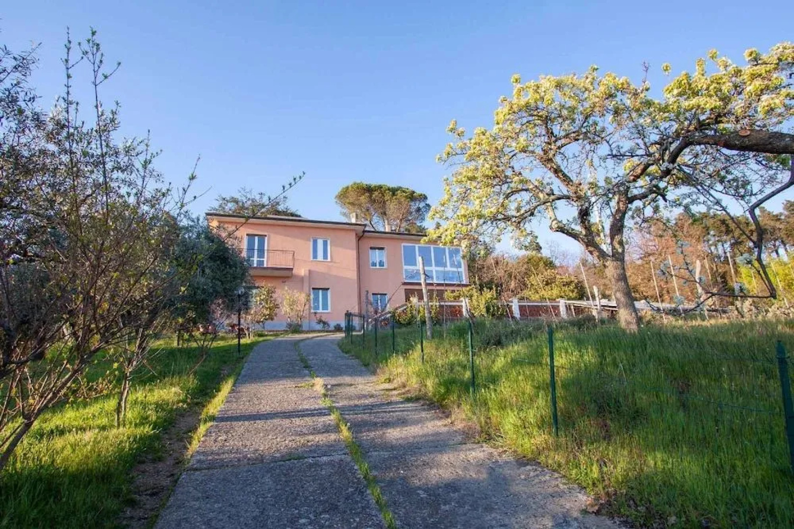 La Camelia Bianca B&B