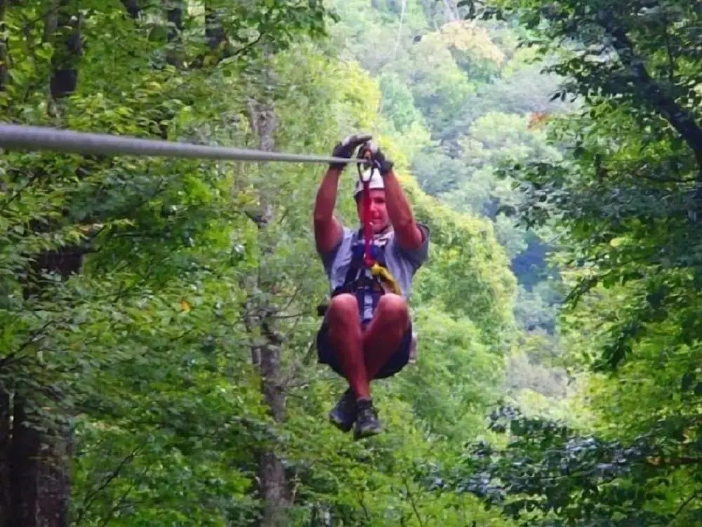 Unforgettable Dreams