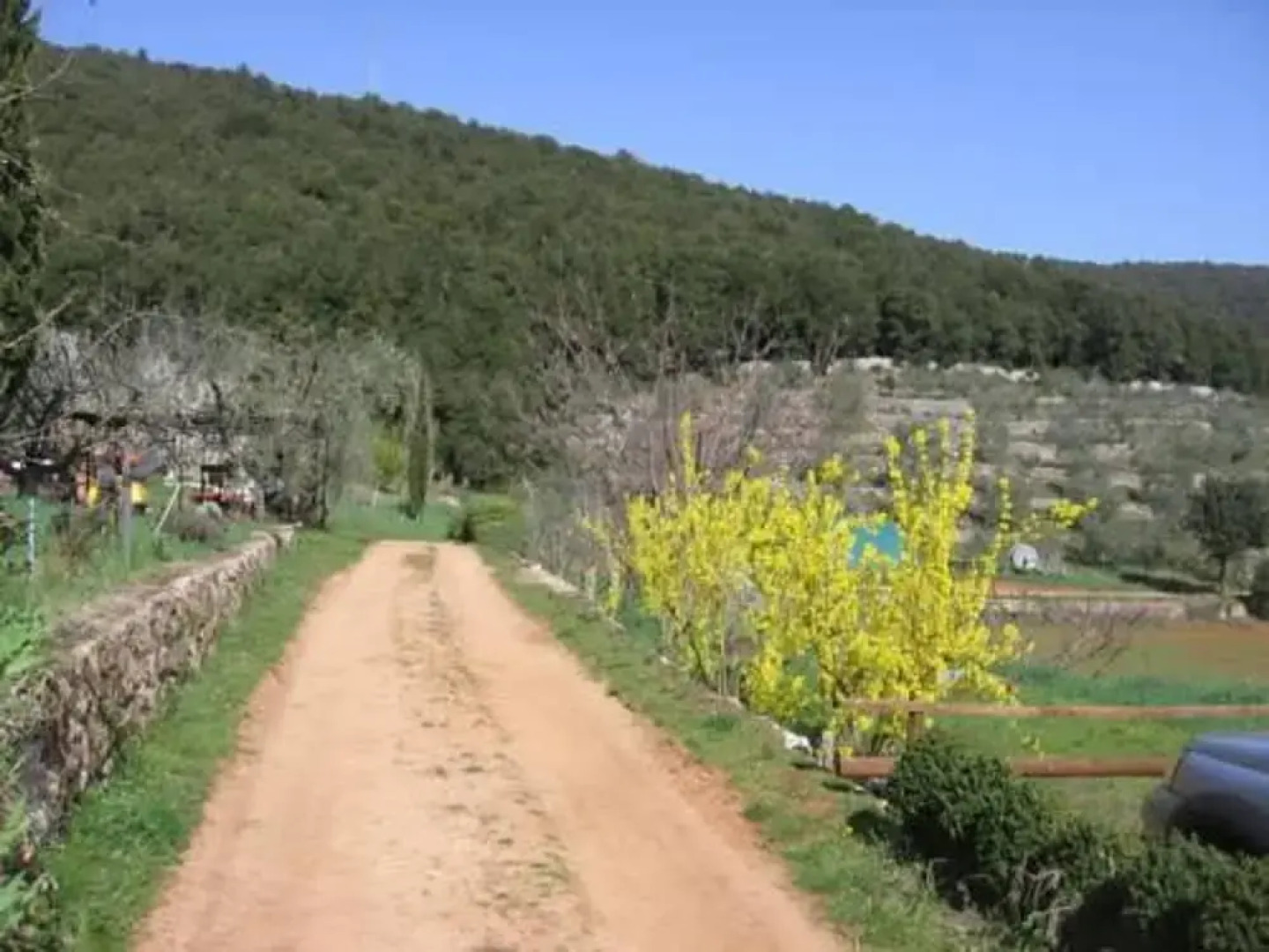 Biofarm Podere Ficareto