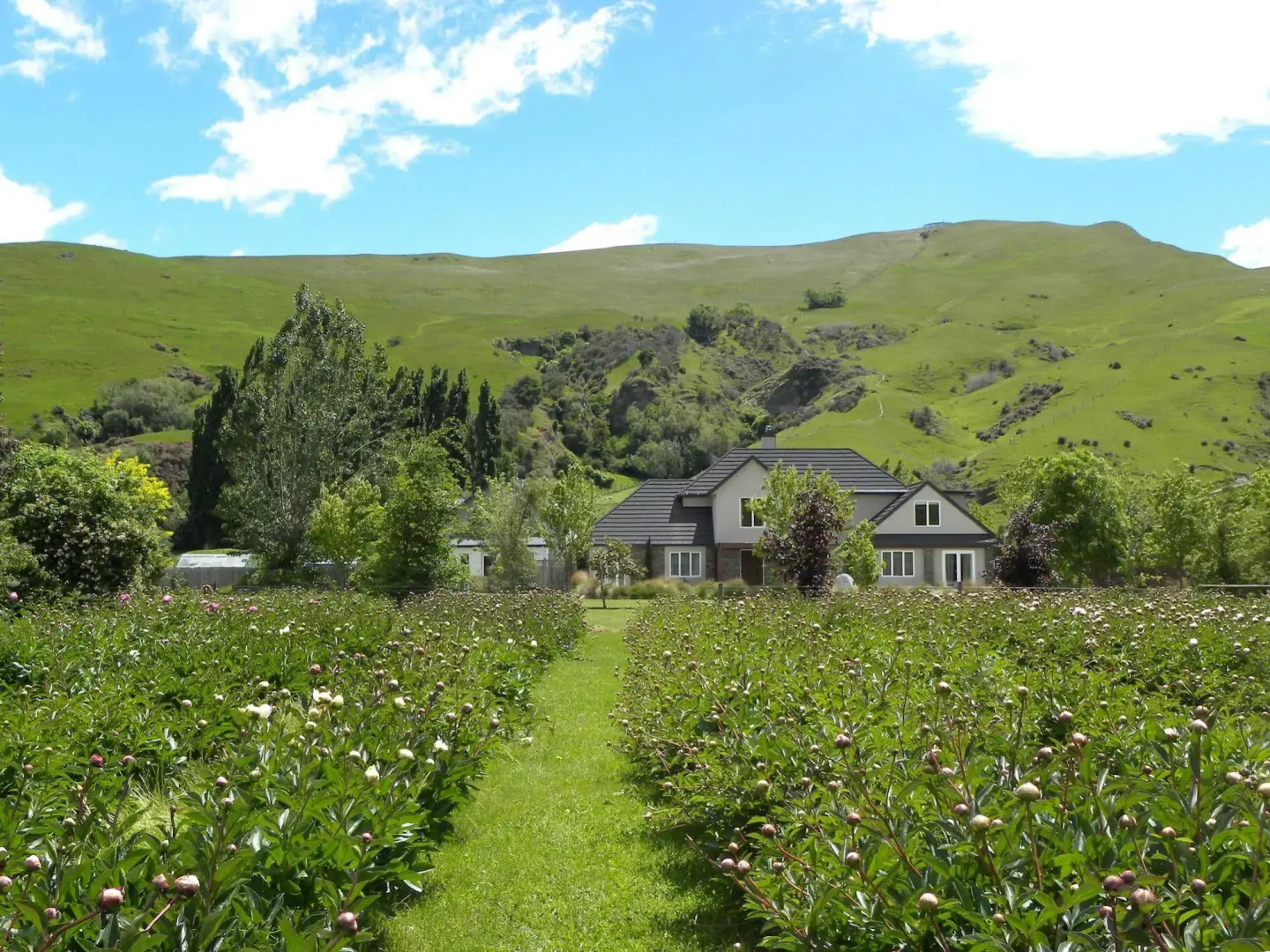 Queenstown Country Lodge