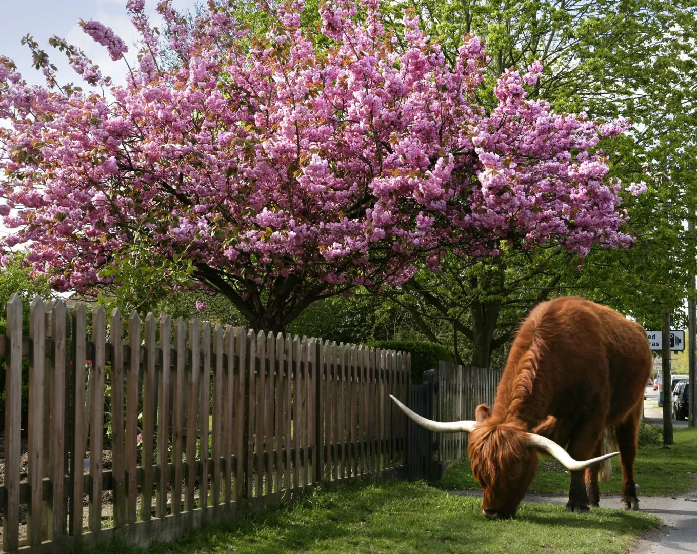 Careys Manor & Senspa