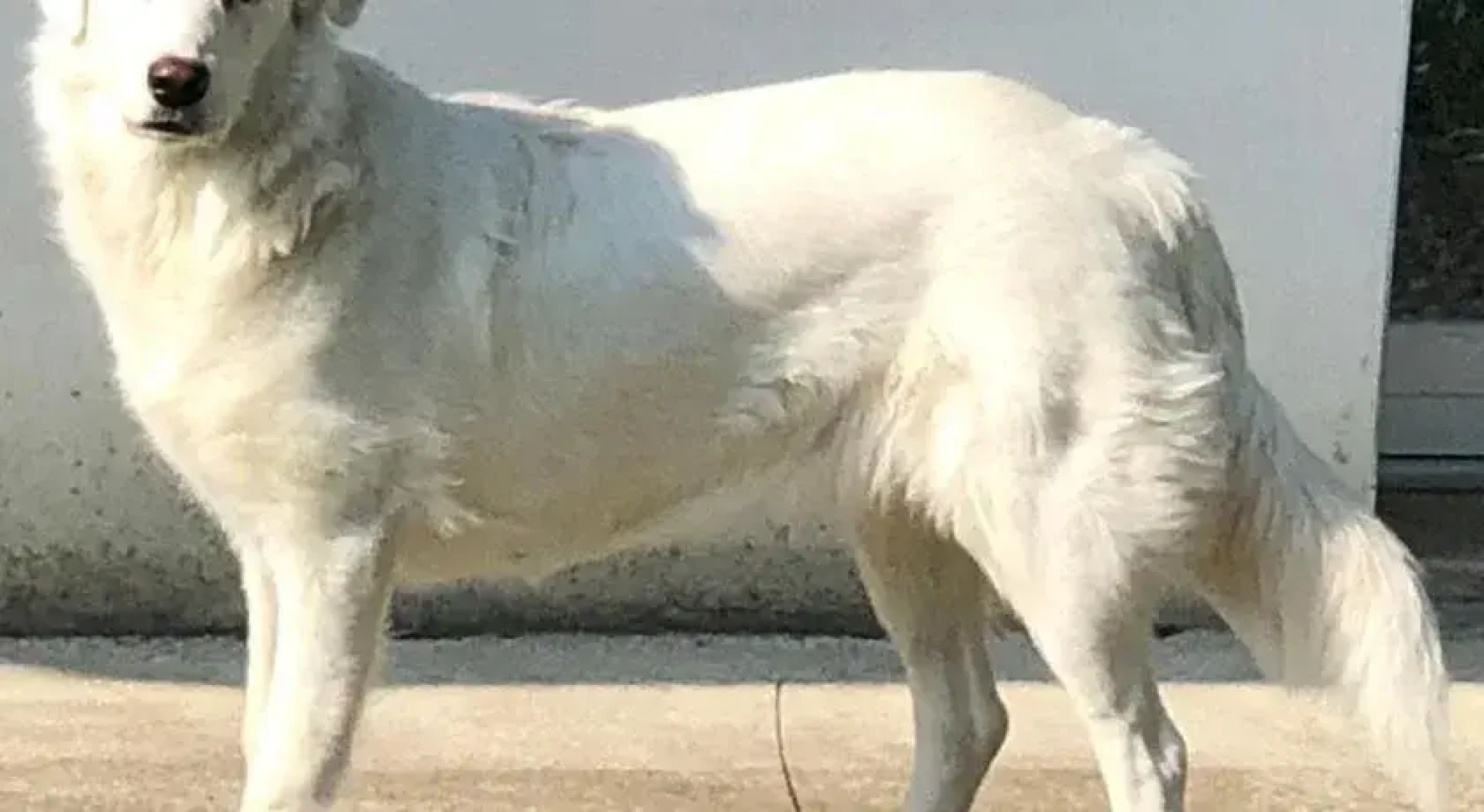 Le Vigne della Duchessa - Guest House