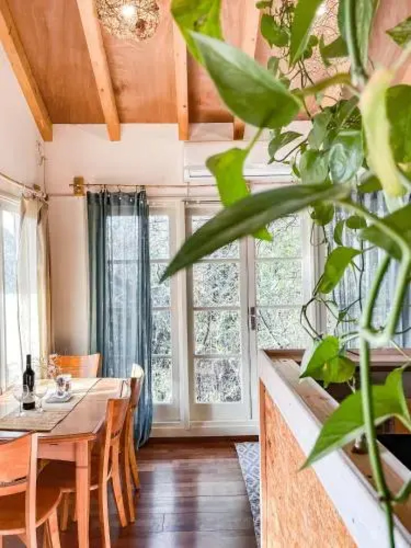 Blue House In The Woods- Amirim