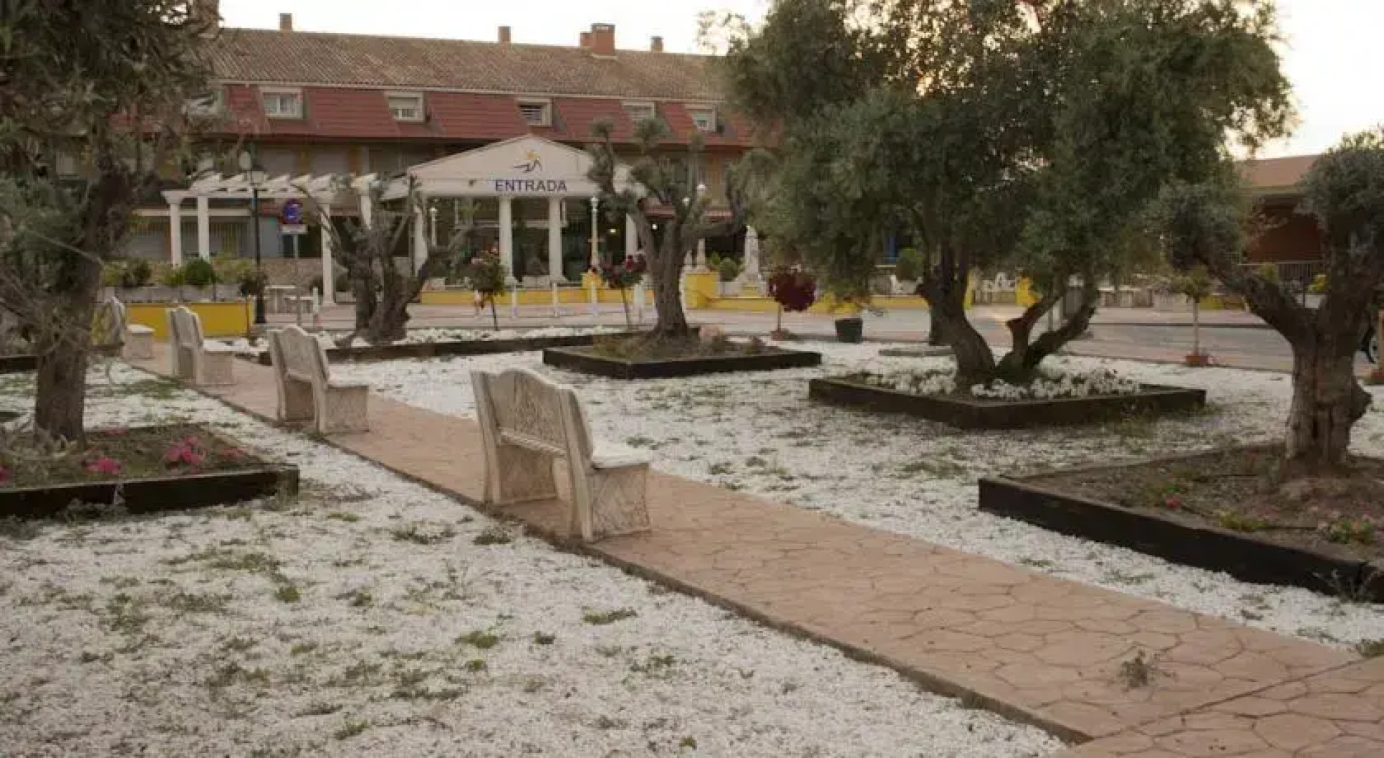 Aparthotel Las Olivas