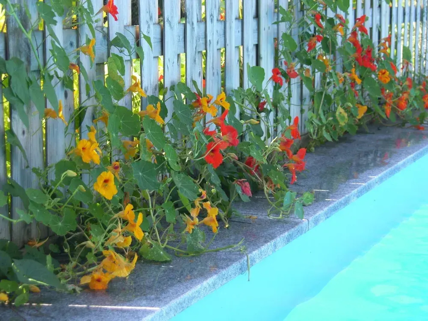 Pension - B&B Elisabeth Radstadt