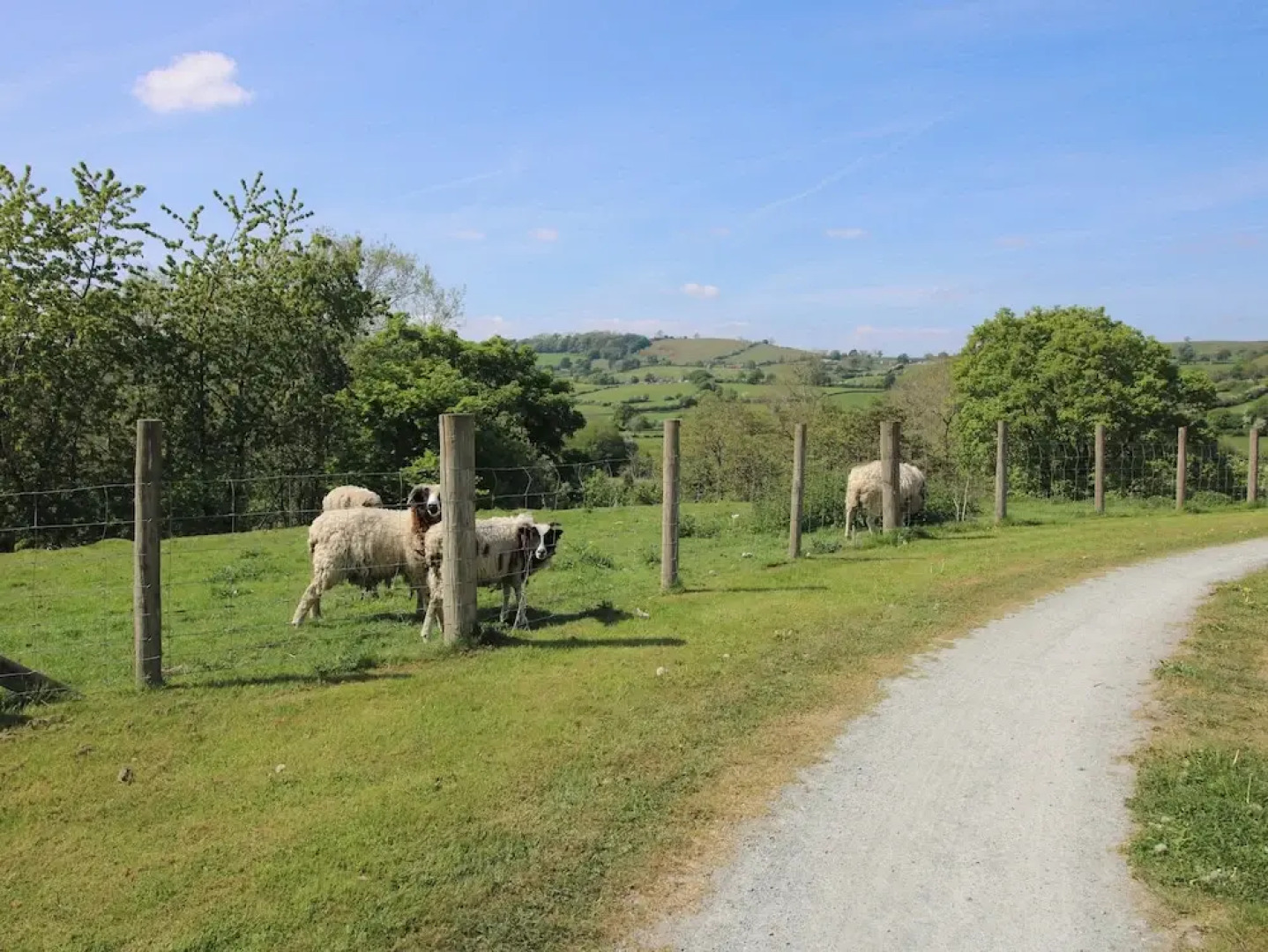 The Old Beams at Pont y Forwyn