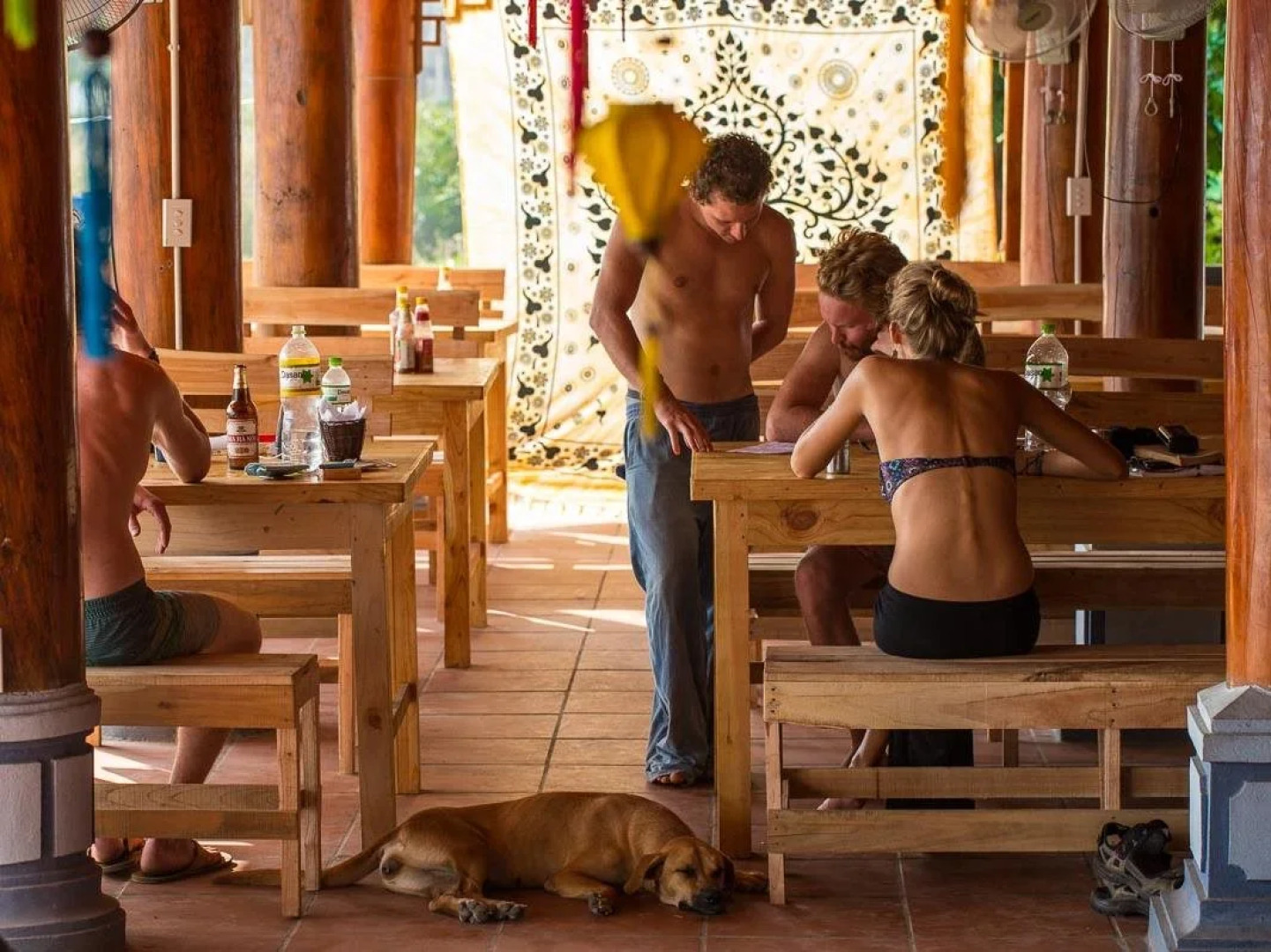 Woodstock Beach Camp