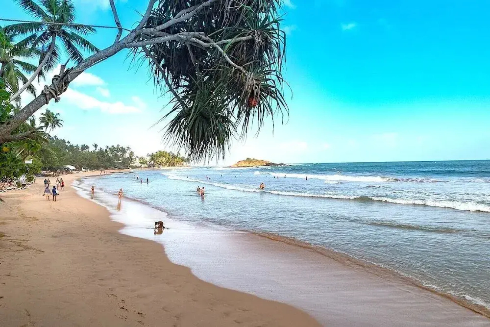 Dream Palace Family Guest House