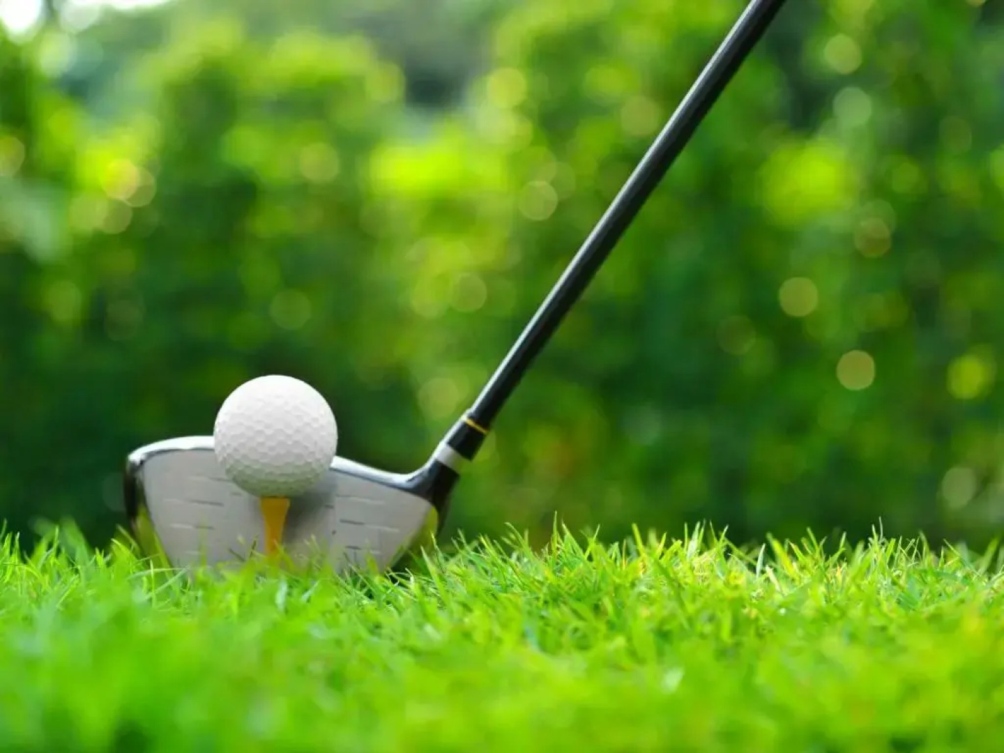 Cozy 2 Bedroom Apartment