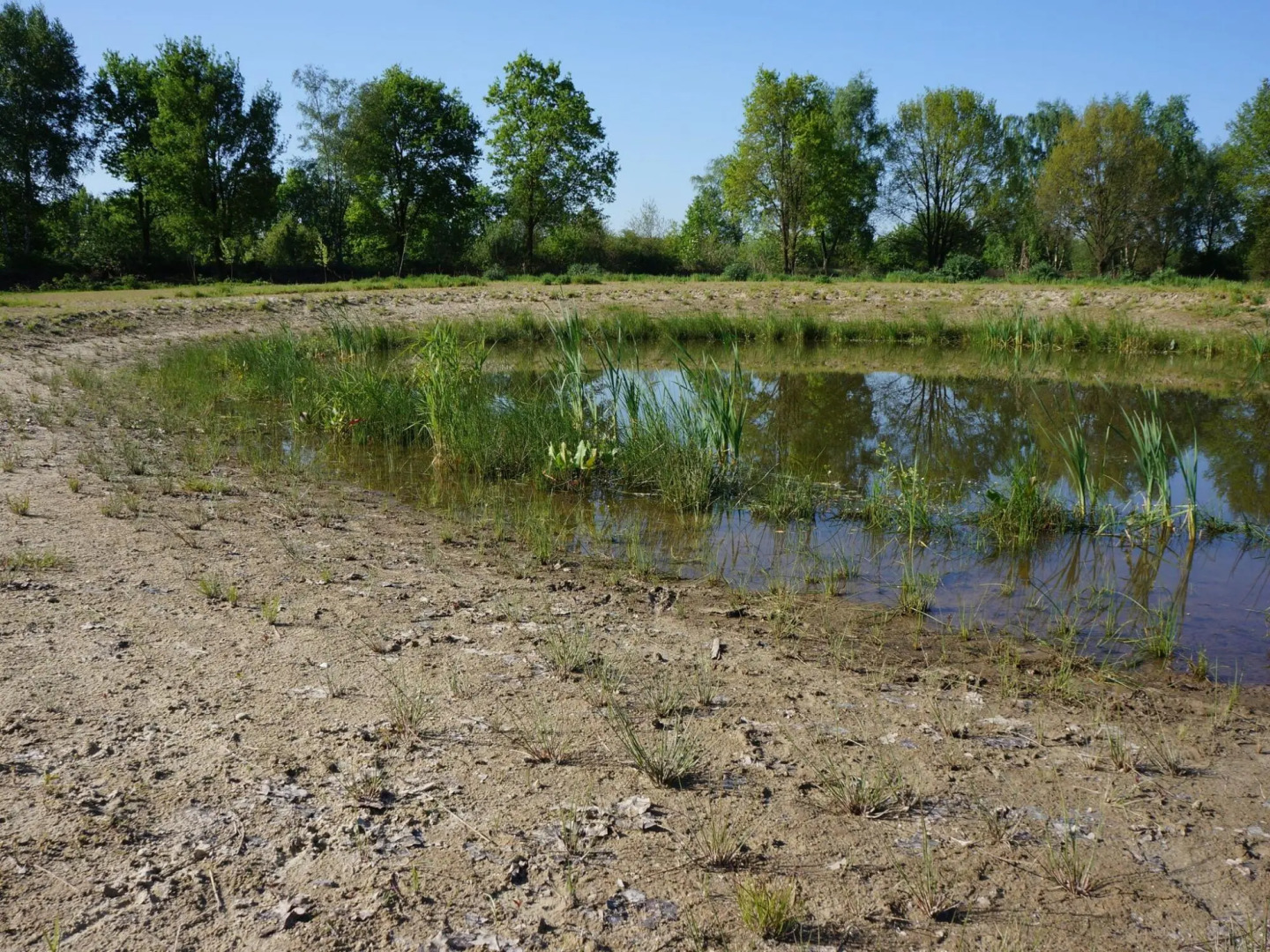Luxurious Farmhouse in Zeeland with Private Garden
