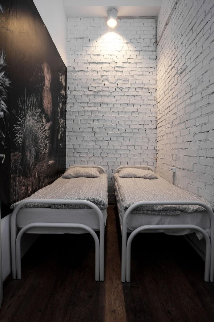 Hostel Petya and the Wolf - V.O.