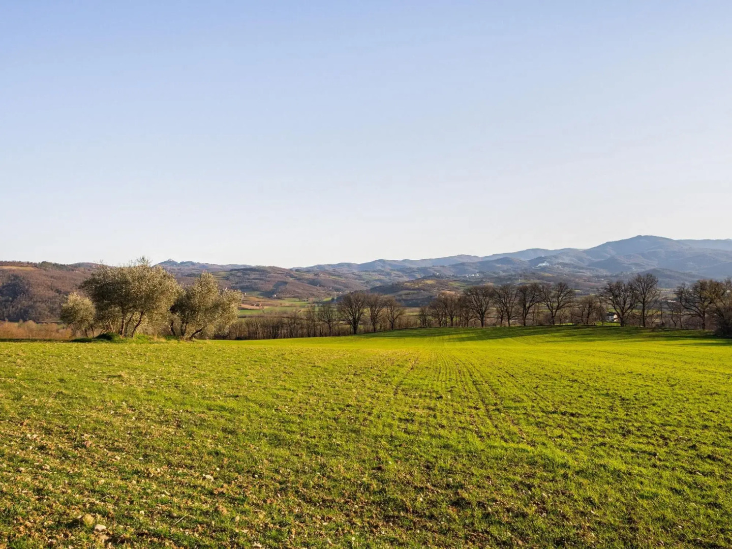 Apartment in Citerna With Pool
