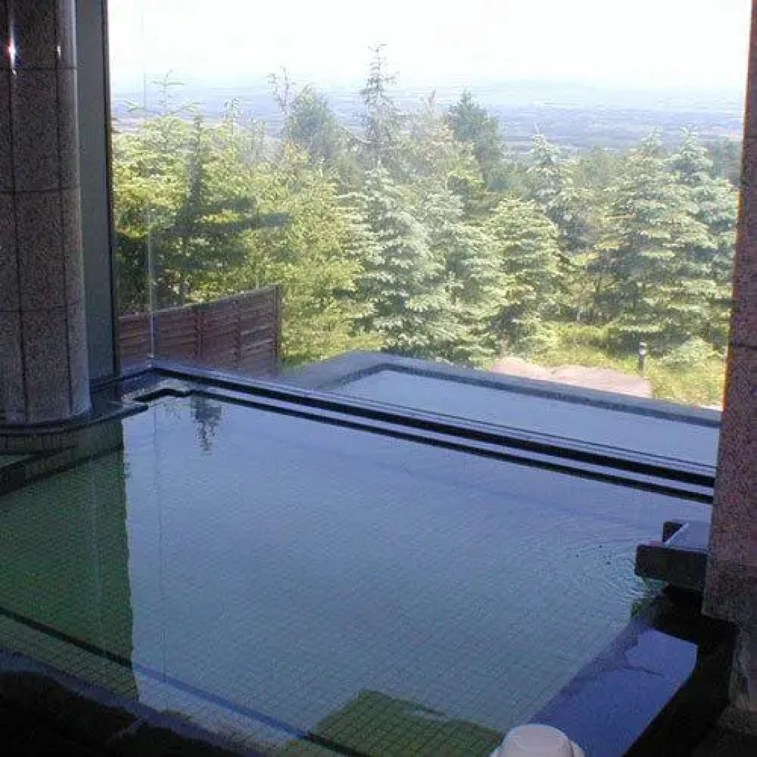 白神山酒店度假村(Naqua Shirakami Hotel Resort)