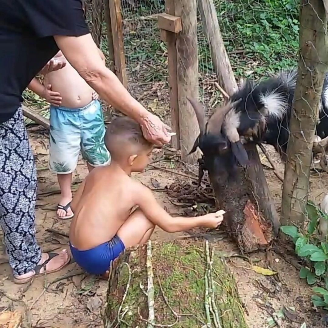 Pousada a Marca do Farao