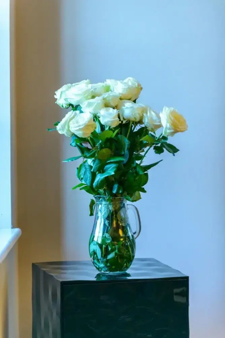 Villa Calamota in Kolocep