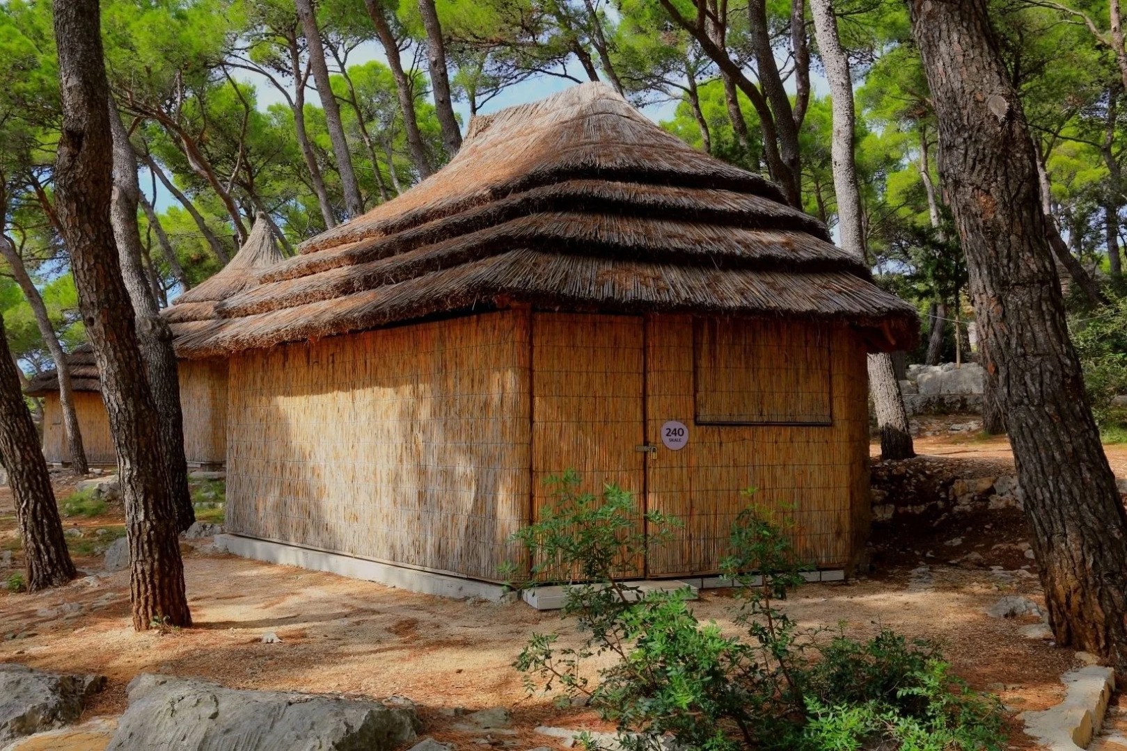 Pine Beach Pakostane - All Inclusive light