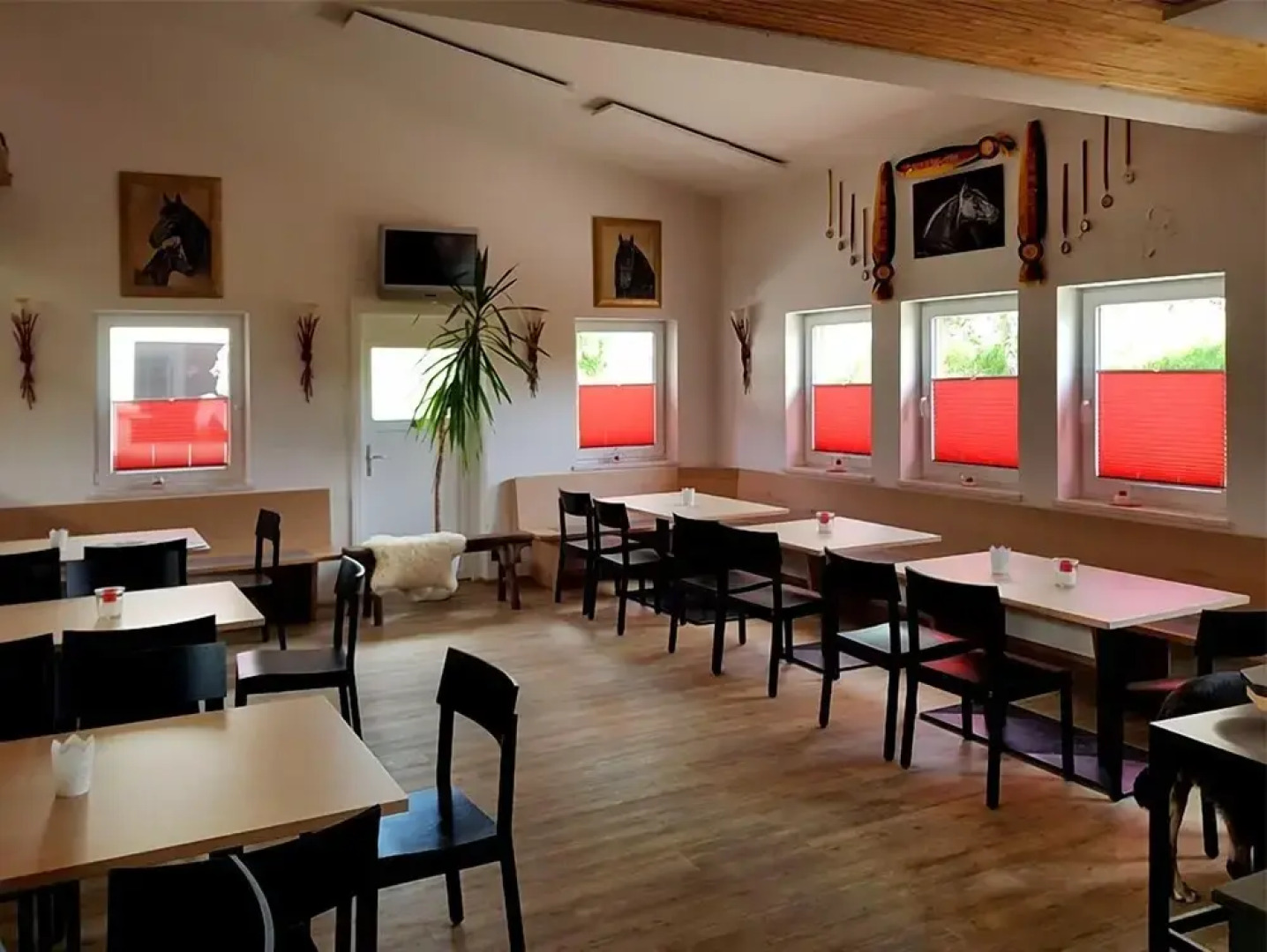 Allgäu Meadow Ranch