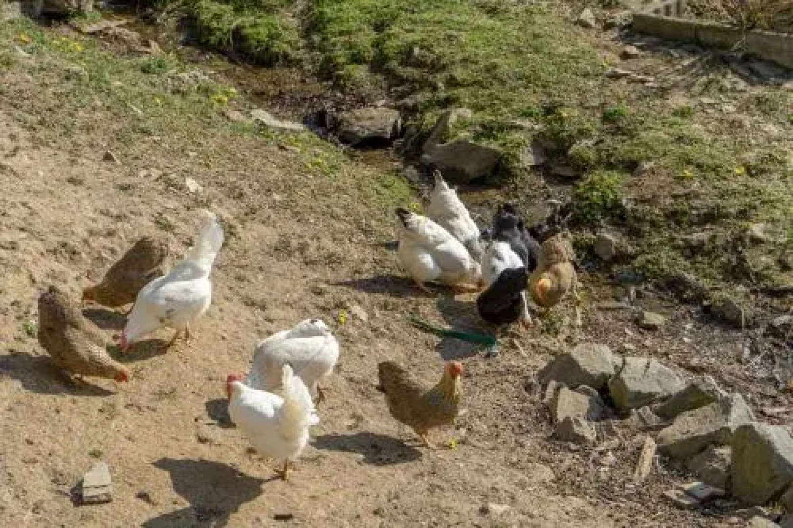 Historische Mühle Vogelsang