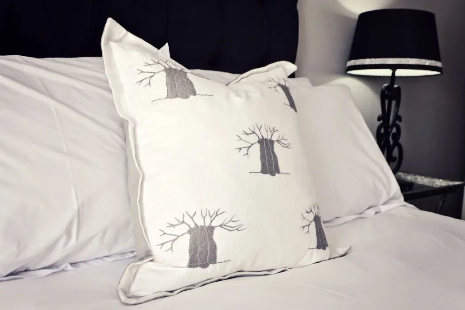 Bokmakierie Guest House