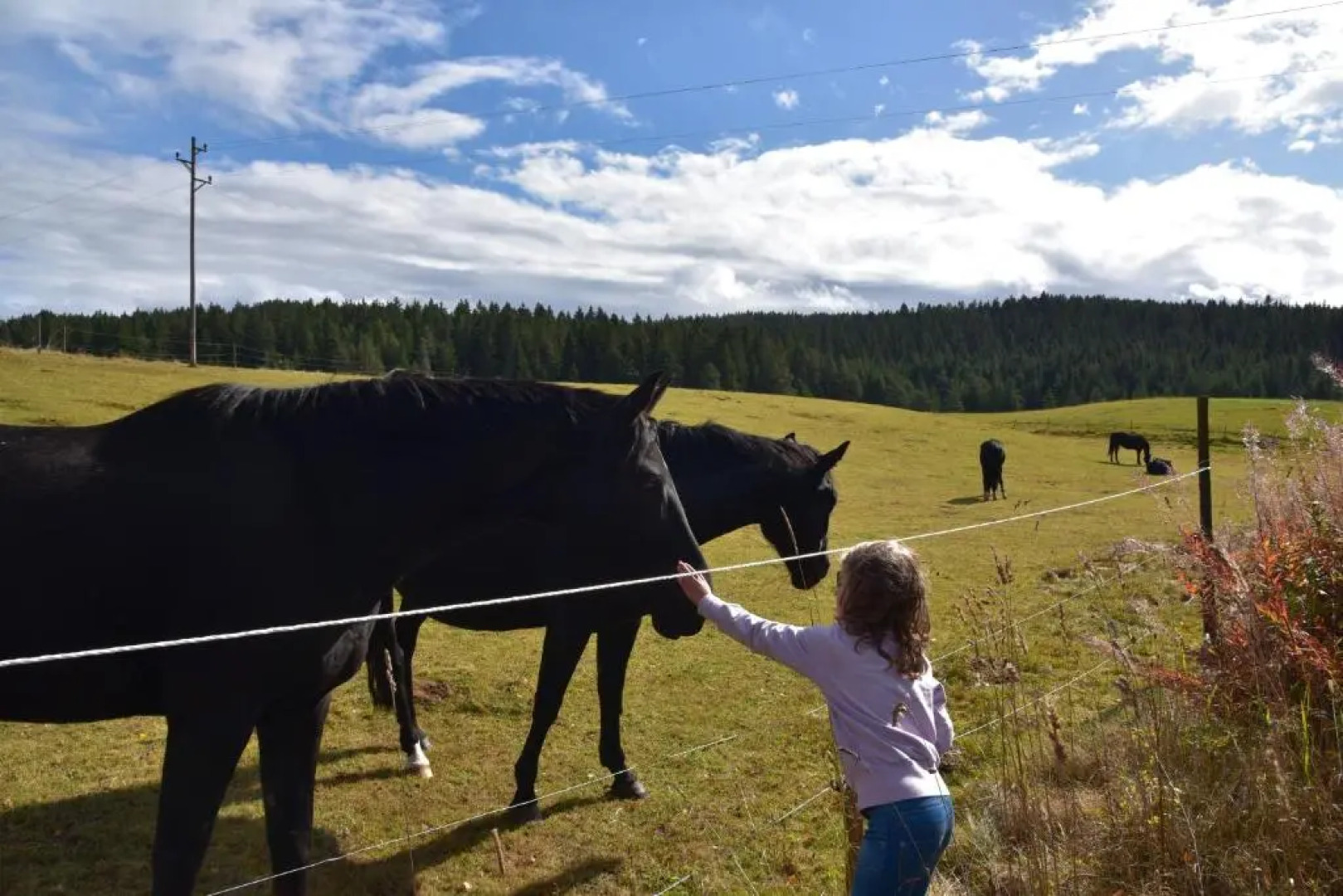 Apartment Eisenhauer in Schluchsee