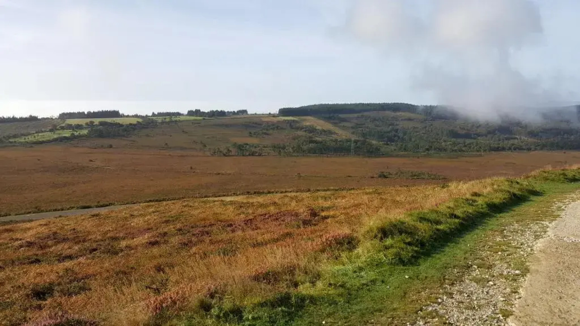 Sur La Route Des Myrtilles
