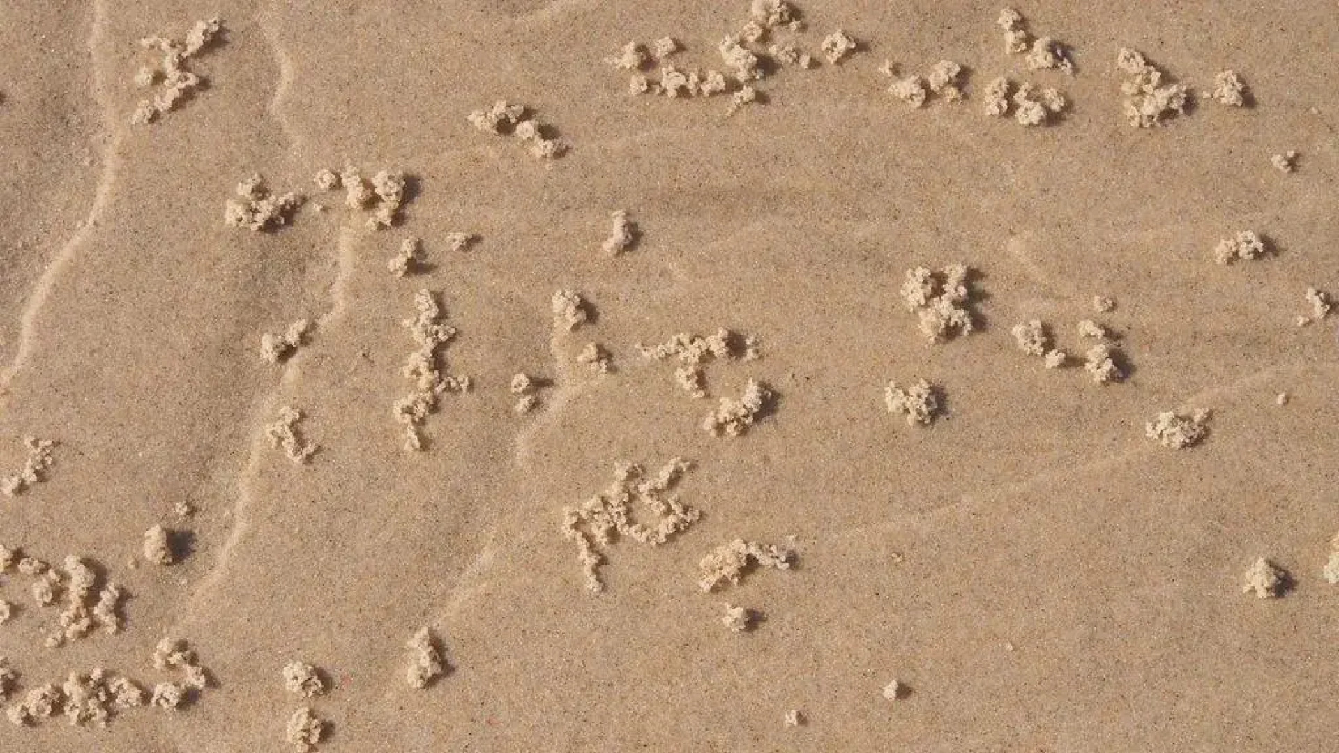 Bundle Hill Cottages