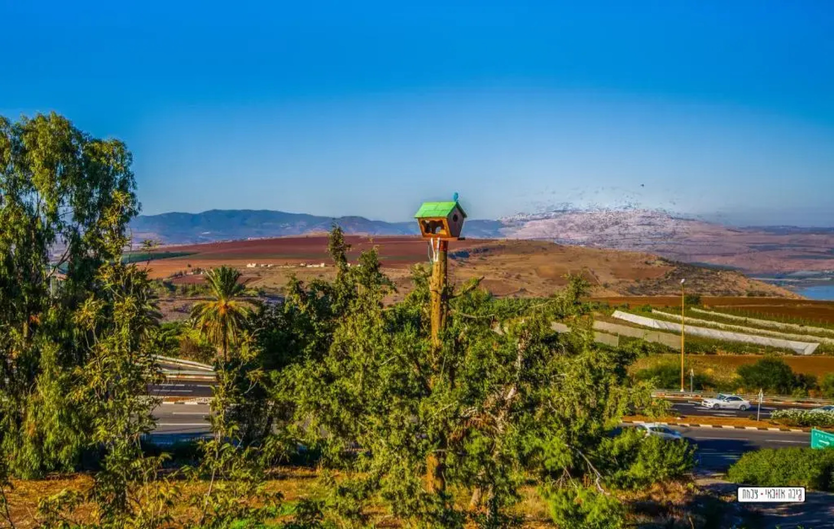 Beautiful Lake View Wooden House