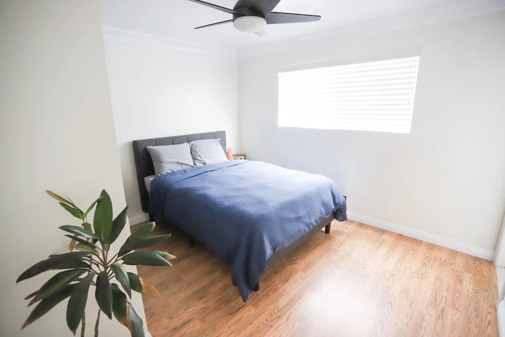 806 Encinitas - 3 Br Home